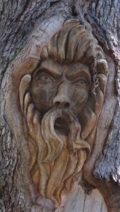 a carved face in the bark of a tree