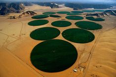 an aerial view of green circles in the middle of desert land with mountains in the background