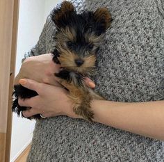 a woman holding a small dog in her arms