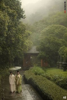 two women walking in the rain with umbrellas over their heads and trees behind them