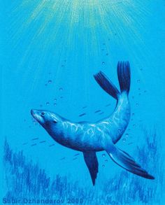 a drawing of a seal swimming in the ocean with sunlight shining down on it's back