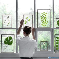 a woman is looking out the window at some green plants and leaves hanging on the windowsill