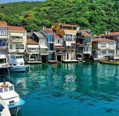 several boats are docked in the water next to some houses and trees on top of a hill