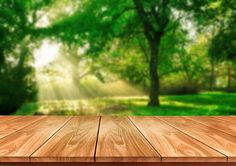 an empty wooden table in front of a green park with sunlight streaming through the trees