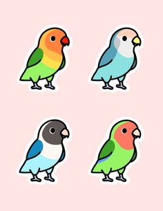 four colorful birds stickers on a pink background