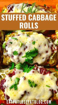 stuffed cabbage rolls with cheese and herbs on top