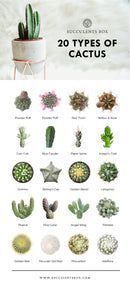 the 20 types of cactuses are shown in this page, with their names and pictures