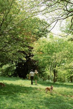 two people walking in the woods with their dogs