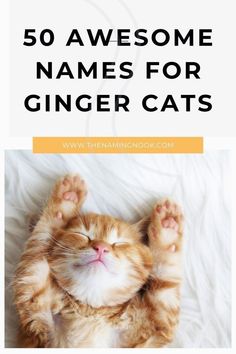 an orange and white cat laying on its back with the words 50 awesome names for ginger cats