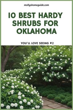 the cover of 10 best hardy shrubs for oklahoma you'll love seeing 2