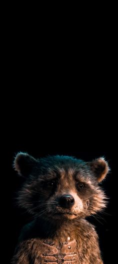 a raccoon is standing in front of a black background