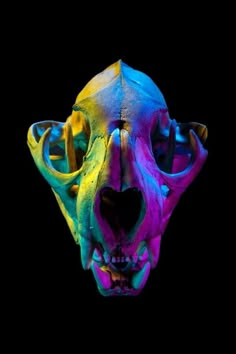 an animal skull with colorful paint all over it's face and neck, against a black background