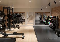 the gym is equipped with many different types of exercise equipment, including treadmills and dumbbells