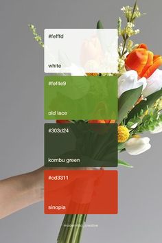 2024 Natural flower elegant color palette inspiration | Branding design Knit Color Combinations, Elegant Color Palette, Color Palette Inspiration, Colorful Logo Design, Palette Inspiration, Elegant Color, Logo Creation