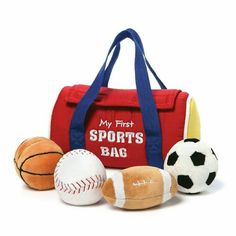 the sports bag has three balls and a baseball in it, along with a stuffed animal