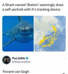 a shark is in the water with two different pictures