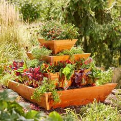 a garden filled with lots of different types of vegetables and plants in wooden containers on top of each other