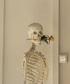 a skeleton holding a flower in its mouth