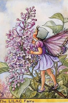 a fairy is standing next to some flowers