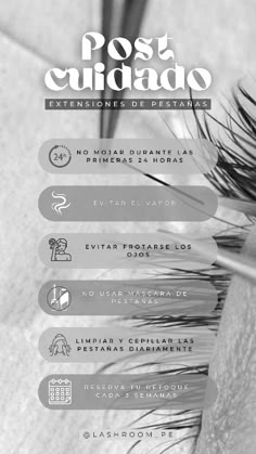 Post cuidado extensiones de pestañas Beauty Room Salon, Eyelash Extentions, Brow Lash, Instagram Ideas Post