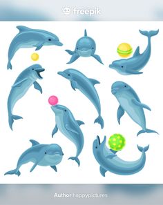 dolphins and balls in the water with text reading home & garden essentials by ebay