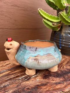 a ceramic turtle planter sitting on top of a wooden table next to a potted plant