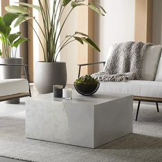 a living room with white furniture and plants in the centerpieces on the coffee table