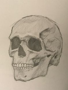 a drawing of a human skull on paper