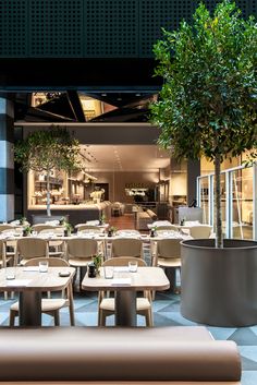 an empty restaurant with tables and chairs in front of a tree on the side walk