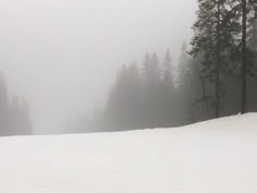 a person riding skis down a snow covered slope in front of tall pine trees