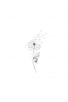 [object Object] Tattoos Ideas Minimalist, Tattoo Symbol Of Strength, Dandelion Tattoo Back Of Arm, Create Tattoo Ideas, Tiny Intricate Tattoos, Fine Line Tattoo Ideas For Moms, Grandparent Tattoos Ideas, Tattoo For Missing Someone, Fairy Light Tattoo