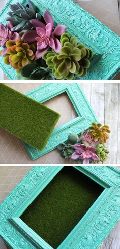 three pictures of different frames with flowers in them and moss growing out of the frame