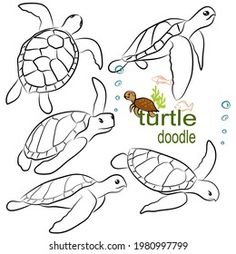 turtle doodle coloring page for children with sea animals and their names in english or spanish