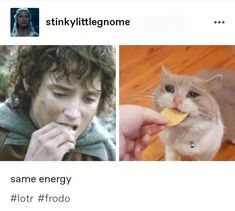 two pictures one with a cat and the other with a person eating something in front of them