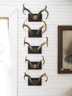 three antelope heads mounted to the side of a wall