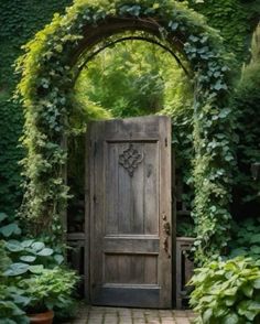 an old wooden door surrounded by greenery