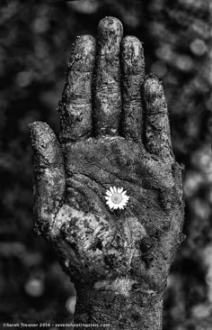 a black and white photo of a hand with a flower on it