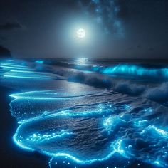 the ocean is lit up with blue lights as it runs through the water at night