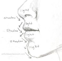 a drawing of a nose with the words shadow and light on it's side