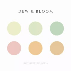 the cover art for dew & bloom's new album, mint mountain meda