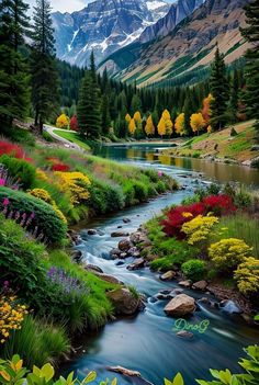 a river running through a lush green forest filled with trees and flowers in the mountains