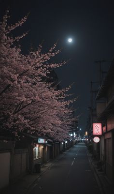 an empty street at night with cherry blossoms on the trees