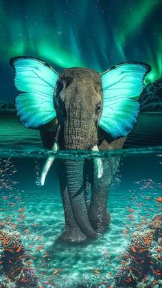 an elephant in the water with its wings spread and glowing green lights above it's head