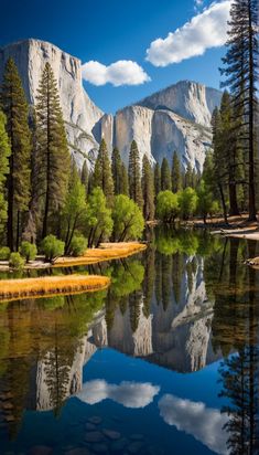 the mountains are reflected in the still water of this lake, with trees on both sides