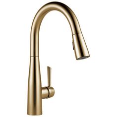 the kitchen sink faucet is shown in brushed brass, and features a pull - down