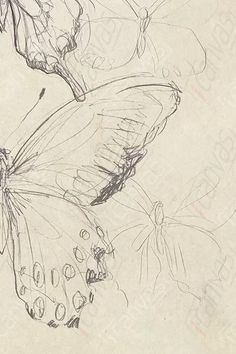 two butterflies sitting on top of each other in front of a white sheet with black ink