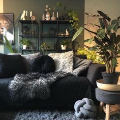 a living room filled with furniture and plants