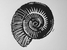 a black and white drawing of a snail's shell on a white paper background