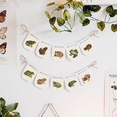 the wall is decorated with butterflies, moths and other things that are hanging on it