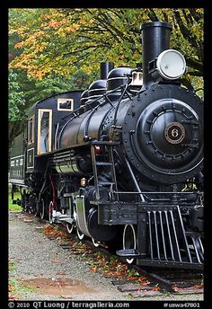 an old fashioned train is parked on the tracks in front of some trees and leaves